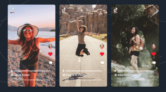Add TikTok Feeds on Shopify